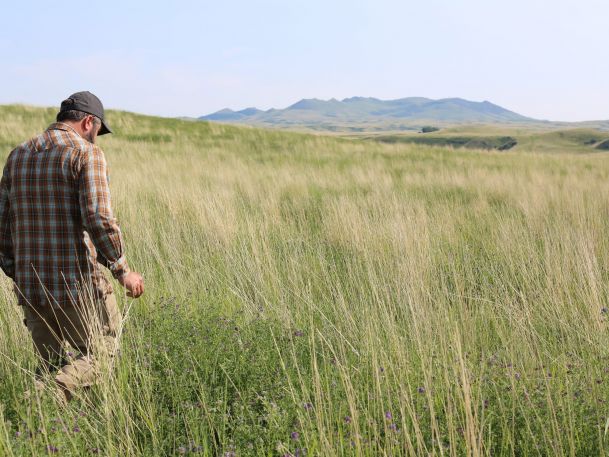 A man in a plaid shirt and cap walks through tall grass in a wide, open field with distant hills under a clear sky.