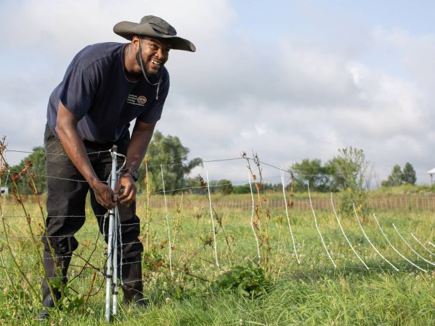 A man in a wide-brimmed hat and dark shirt works outdoors, repairing or setting up a wire fence in a grassy field under a partly cloudy sky. Shrubs and a house are visible in the background.
